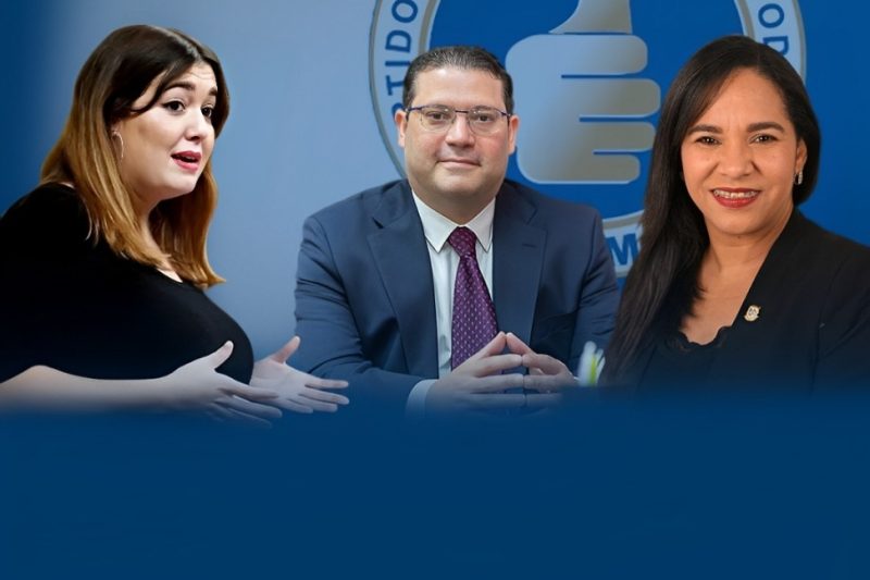 Diputadas respaldan proyecto presidencial de Yayo Sanz Lovatón