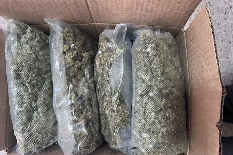 Guatemala decomisa 900 libras de marihuana que venían para República Dominicana