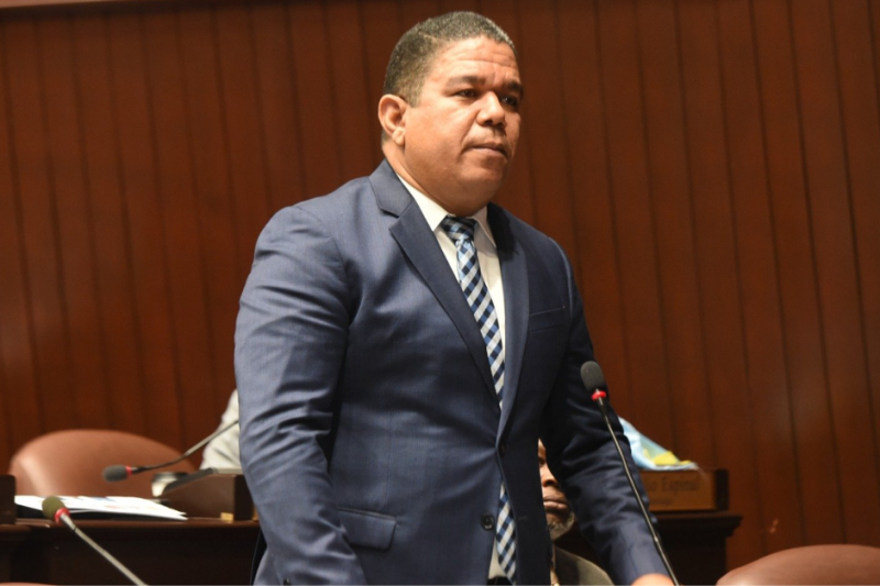 Senador del PRM presentará propuesta de modificación al nuevo Código Penal tras excluir 3 causales
