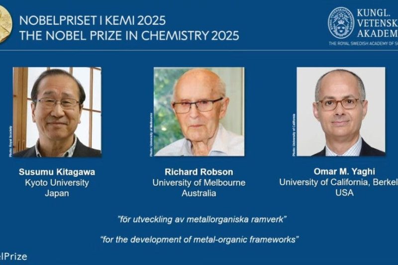 Premio Nobel de Química para desarrollo de estructuras metal-orgánicas