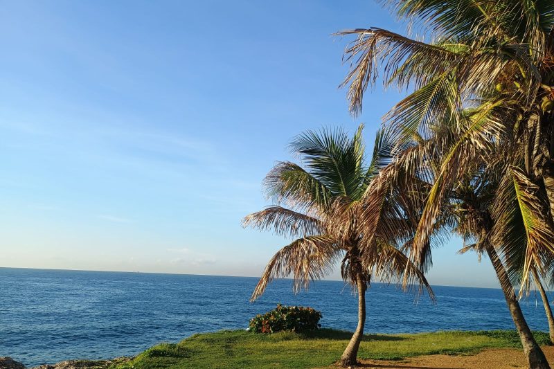 Dos vaguadas provocarán lluvias y ráfagas de viento en gran parte del país; SD con escasas nubes