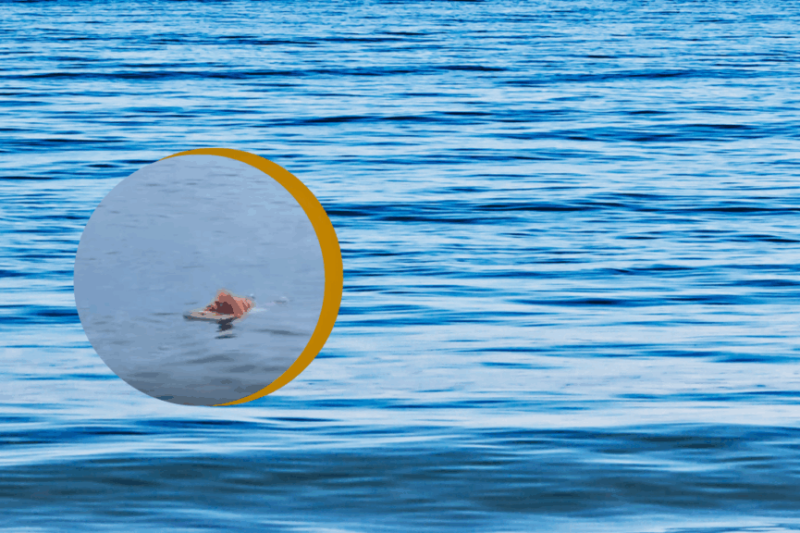 Rescatan a pescador que sobrevivió 17 horas a la deriva aferrado a la puerta de una nevera en Brasil