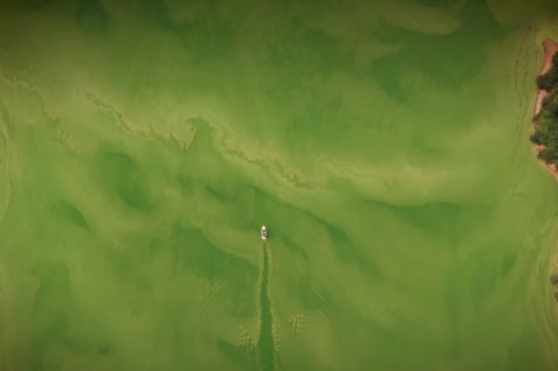 Los alarmantes hallazgos de estudios científicos realizados a aguas de la presa de Hatillo