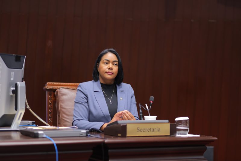 Diputada del PRM denuncia campaña difamatoria en su contra