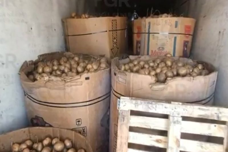Autoridades decomisaron cerca de una tonelada de metanfetamina en el norte de México