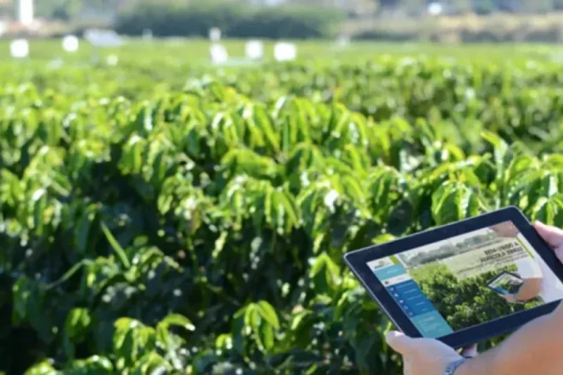 ¿Seguro agrícola paramétrico?