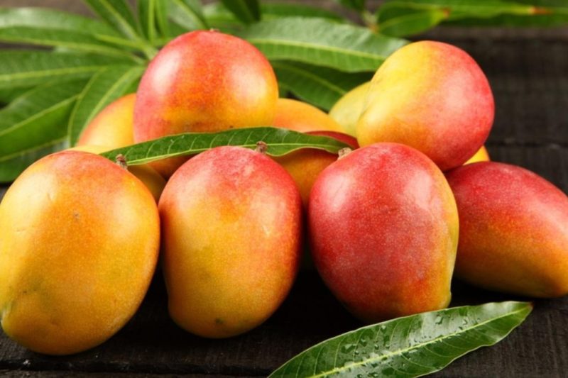 ¿Por qué EE. UU. suspendió el mango dominicano? Clúster explica qué falló y qué viene ahora
