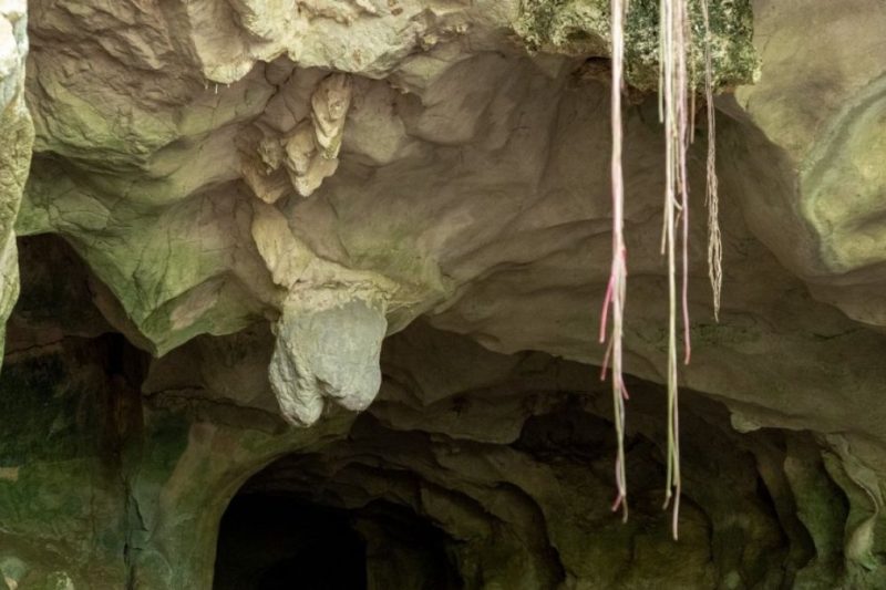 El país pierde cuando destruyen un patrimonio natural
