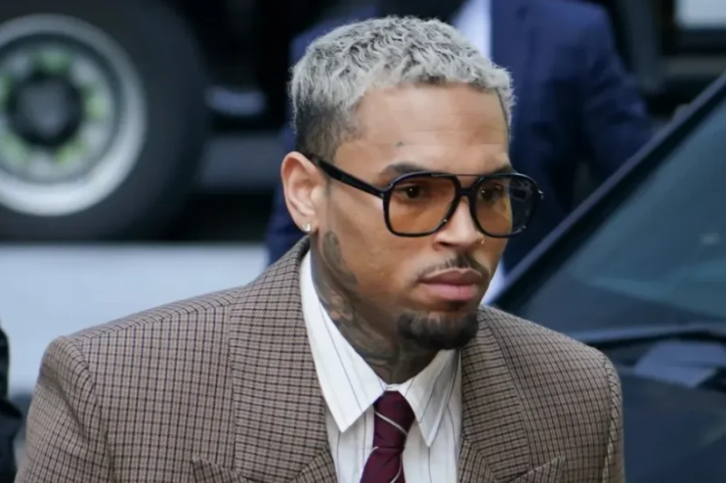 Condenan a Chris Brown a pagar 13 millones de dólares por ataque de su perro a una trabajadora doméstica Ensegundos República Dominicana