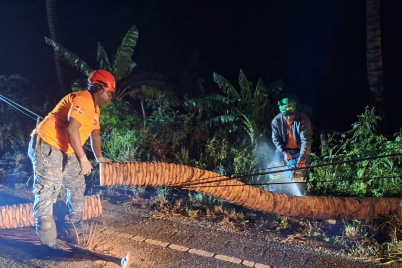 Lluvias dejan viviendas afectadas y vías incomunicadas en varias provincias del país