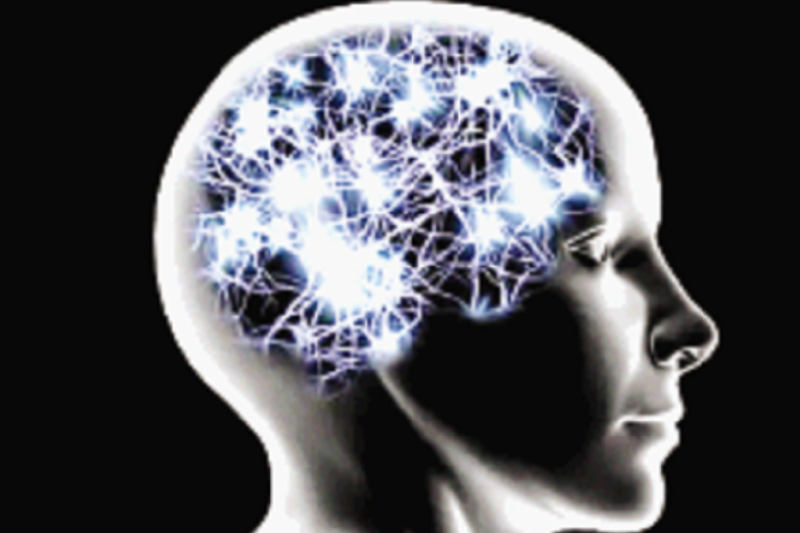 Cerebro y emociónen el voluntariado
