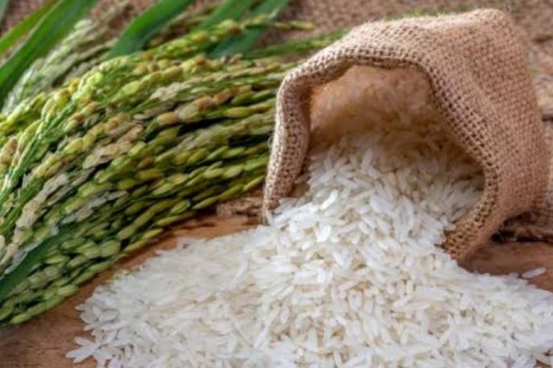 Que los productores importen arroz